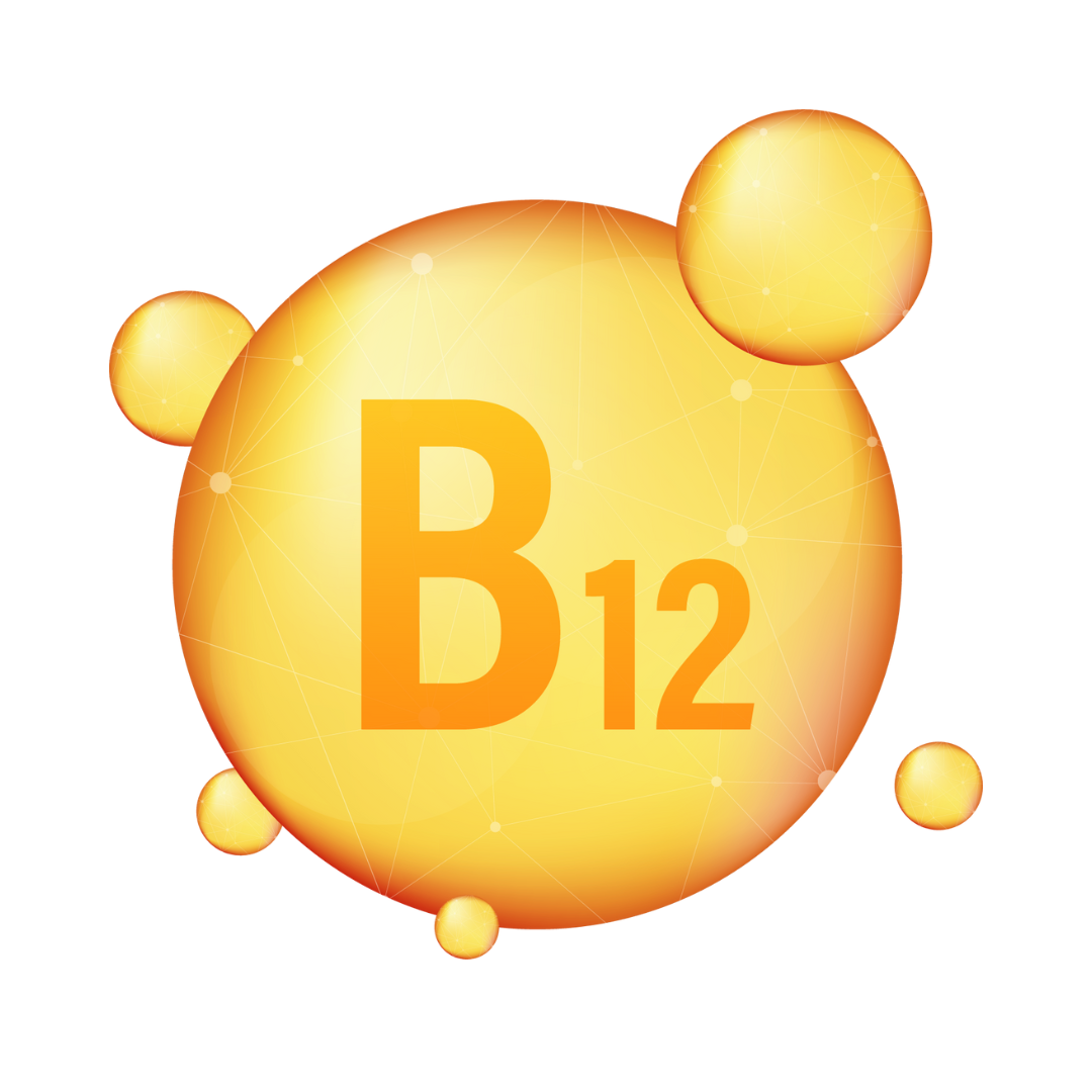 B12 Add On