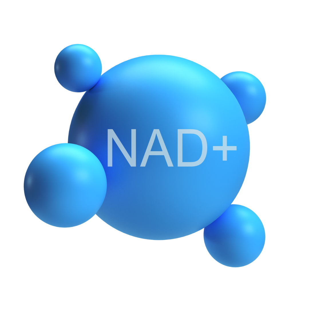 NAD+ Add On